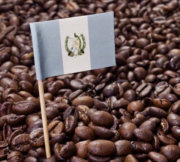 guatemalan antigua coffee beans