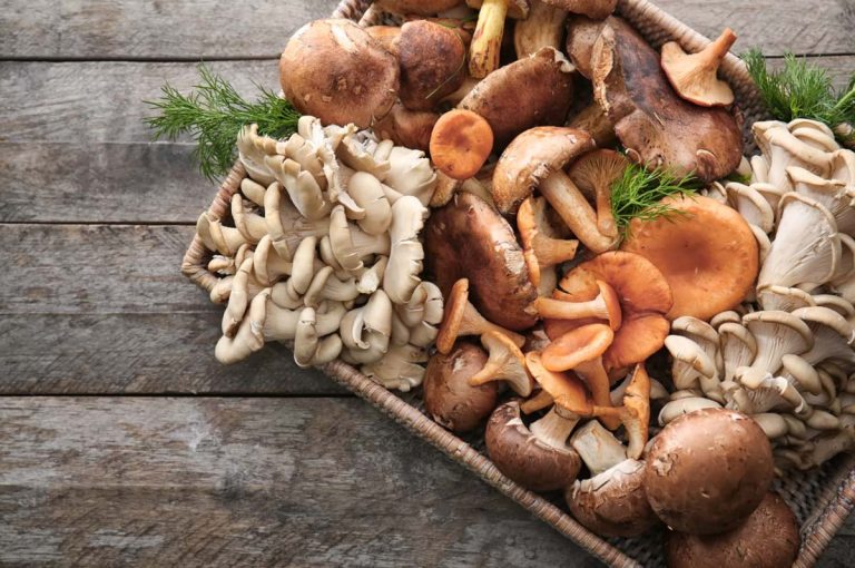 Is Mushroom a Vegetable?