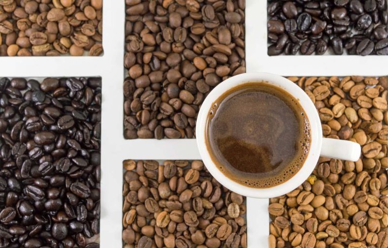 10 Types of Coffee Beans You Might be Interested in!