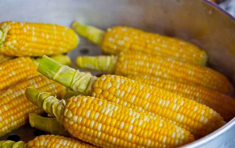 How to Reheat Corn? 5 Simple Ways Explained